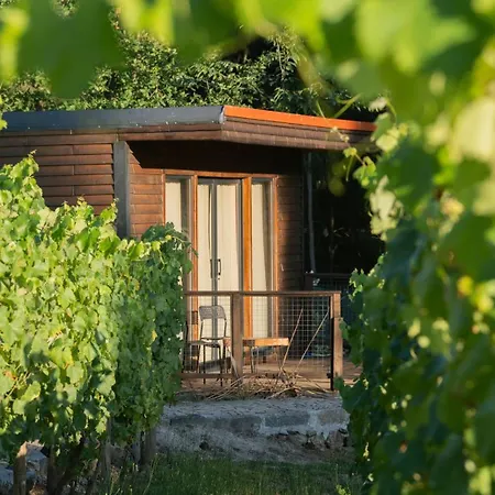 Tapada Dos Vales Farm stay Arnoia