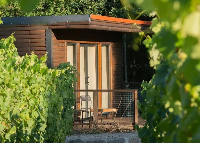 Tapada Dos Vales 农家乐 Arnoia