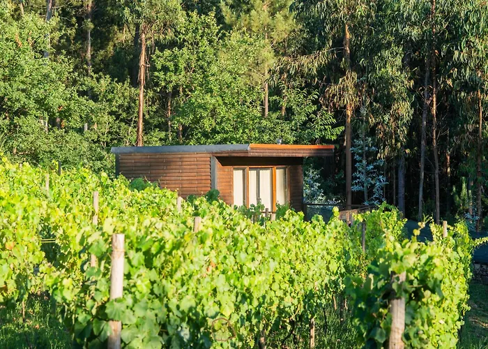 Tapada Dos Vales * Arnoia